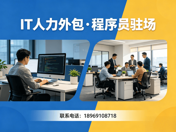 合肥IT人力外包解决方案：人形机器人开发工程师人力外包助力企业高效用人