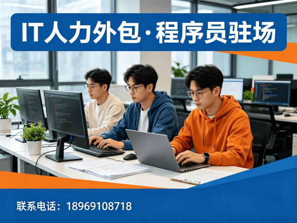 青岛IT人力外包解决方案：Go开发程序员外包助力企业高效技术团队搭建